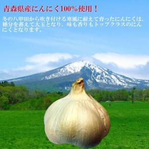 送料無料 長者様の七味にんにく3本セット 青森...の詳細画像2