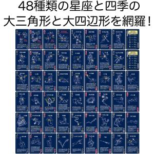 星座トランプ(アーテック)の詳細画像2