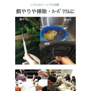 ロングピンセット 27cm 先端2種類セット ...の詳細画像5