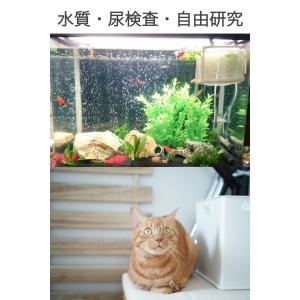pH試験紙 80回分 ペーハー試験紙 リトマス...の詳細画像3