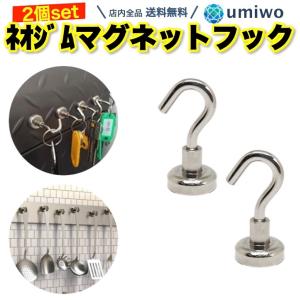 マグネットフック 2個セット 底面直径1.6cm ネオジム磁石 収納 整理 コンパクト キッチン 冷蔵庫 玄関 仕事 オフィス シンプル 強力 小物