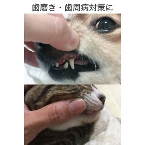 ペット 指 歯ブラシ 5個セット シリコン 指...の詳細画像3