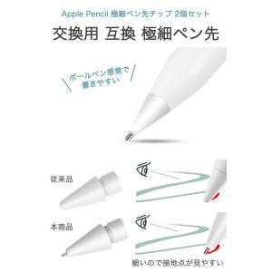 Apple Pencil 極細 ペン先 2個セ...の詳細画像1