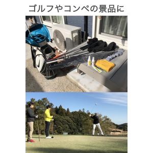 ゴルフクラブ レンチ 2種類セット T20 T...の詳細画像3