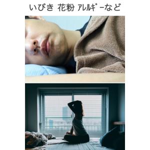 鼻孔拡張 ノーズクリップ シリコン 2個セット...の詳細画像3