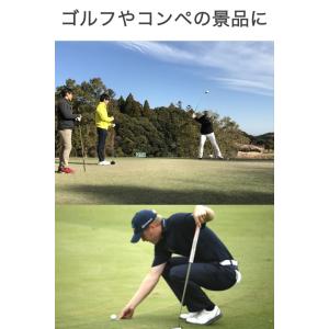 ゴルフマーカー 水平器 メタルプレート付き ハ...の詳細画像3
