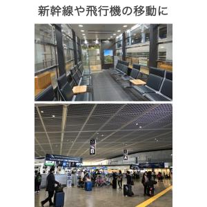 スーツケース ボトルホルダー グレー 旅行 便...の詳細画像3