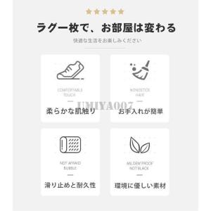 ラグ ラグマット 円形 カーペット 丸型 丸い...の詳細画像2