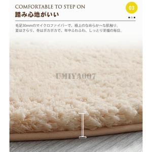ラグ ラグマット 円形 カーペット 丸型 丸い...の詳細画像5