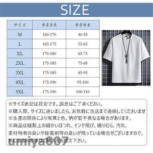 Tシャツ メンズ 半袖 レイヤード風 重ね着 ...の詳細画像5
