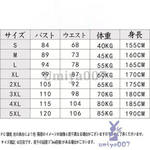巫女 衣装 コスチューム レディース 巫女装束...の詳細画像2