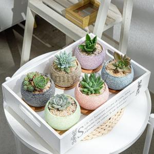 Kartell（カルテル） 今ならポイントUP 【並行輸入品】 フラワーベース