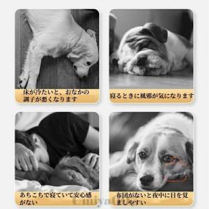 ペットハウス ドーム型 犬 猫 ベッド 洗える...の詳細画像4