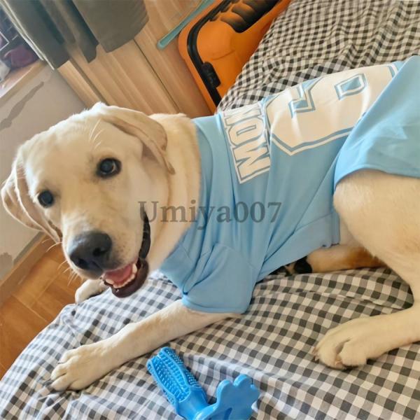大型犬 夏服 中型犬 夏 犬 服 犬服 犬の服 ベスト クール メッシュ おしゃれ 夏用 涼しい お...