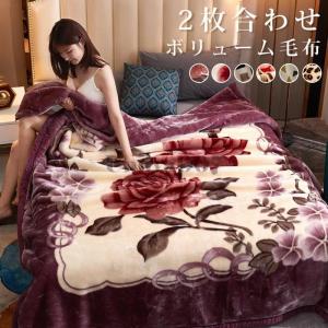 西川（nishikawa） 京都西川 リバーシブル 毛布 ダブルサイズ 180×200