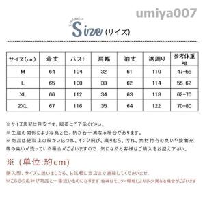 ブラウス レディース 切り替え レイヤード風 ...の詳細画像2