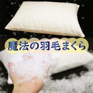 Serta サータ 枕 アイ・シリーズ ピロー P914 Serta サータ 枕 アイ・シリーズ ピロー P914