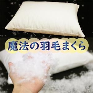 枕 まくら おすすめ 羽毛 羽根 ホテル枕 肩こり 首こり 首痛 低め 柔らかめ 人気 いびき｜umou-iine