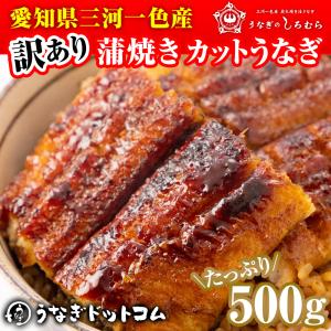 うなぎ CM-500 三河一色産カット500g 訳あり 約10食入り