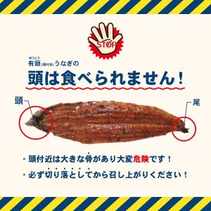 爆買 お祝い 御礼 贈り物 御祝 2026 ギ...の詳細画像3