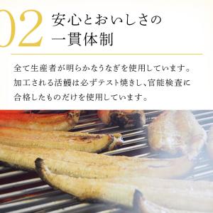 爆買 お祝い 御礼 贈り物 御祝 2026 ギ...の詳細画像5