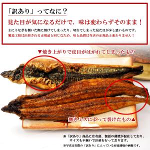 爆買 お祝い 御礼 贈り物 御祝 2026 ギ...の詳細画像2