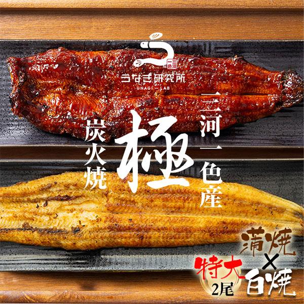 うなぎ 蒲焼 白焼き 食べ比べ2本セット【特大(160〜170g)】 国産 三河一色産 炭火手焼き ...