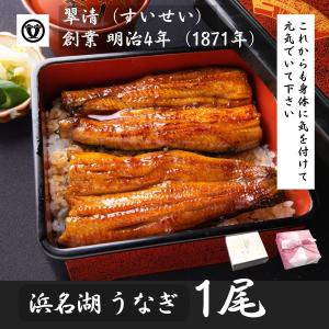 うなぎ 国産 蒲焼 1尾 浜名湖 鰻 父の日 母の日 お中元 贈答 のし 人気 美味しい 老舗  冷蔵 ギフト お祝い 内祝 冷蔵 50代 60代 70代 80代 米寿