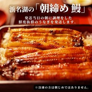 うなぎ 国産 蒲焼 3尾 浜名湖 鰻 父の日 ...の詳細画像1