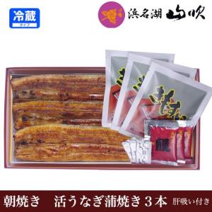 うなぎ ウナギ 特撰 国産うなぎ蒲焼 大3尾 肝吸い付 浜名湖山吹プレミアムギフト｜うなぎ浜名湖山吹