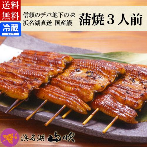 国産うなぎ蒲焼き3人前 詰め合わせ 送料無料
