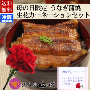 うなぎ 母の日の贈り物 浜名湖山吹 うなぎ串蒲焼 お吸物セッ...