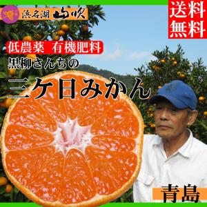 みかん 静岡三ケ日みかん 青島 10kg 黒柳さんちの低農薬 有機肥料栽培 送料無料