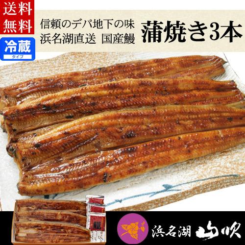 うなぎ 国産 ふっくら柔らかうなぎ長蒲焼き 大 3尾ギフトセット 送料無料 浜名湖山吹 海鮮ギフト