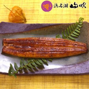 国産うなぎ真空長蒲焼 中サイズ 100g 1尾 浜名湖山吹｜unagi