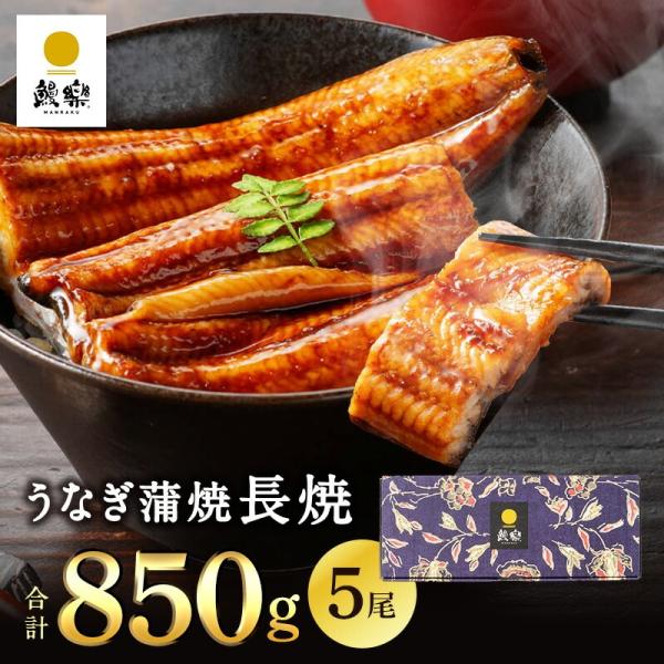 【鰻楽公式】うなぎ 国産 ギフト 鰻楽 蒲焼  長焼170g×5尾（5〜10人前）宮崎 鹿児島 un...