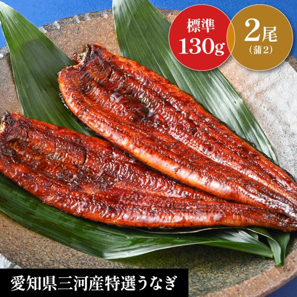 【国産うなぎ蒲焼き　2尾セット】レビュー投稿で刻み鰻プレゼント中！　土用の丑　お祝　お歳暮　お中元　...
