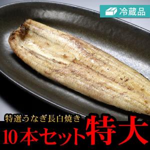 旧冷蔵特選うなぎ長白焼き10本セット特大