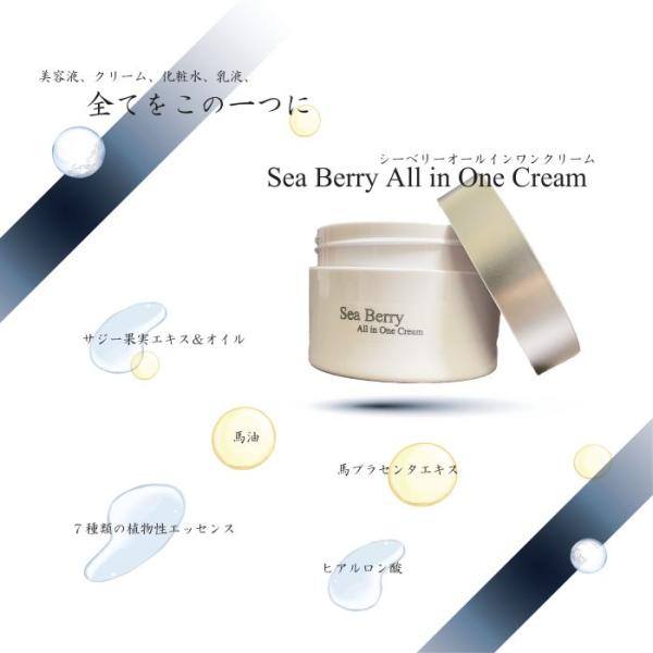ウナ・ルーナ　サジー　シーベリーオールインワンクリーム　サジーの栄養素と馬油の保湿力で潤いとハリのあ...