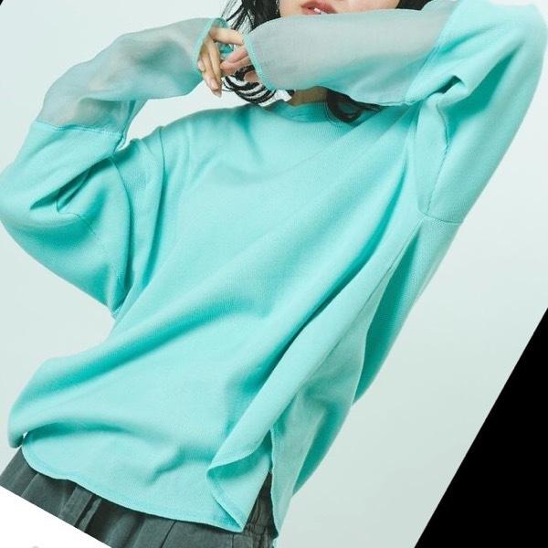 【7900→5530】CHIGNON(シニヨン)/シアー袖リブプルオーバー