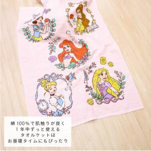 ディズニー お昼寝 タオルケット 70×100...の詳細画像2