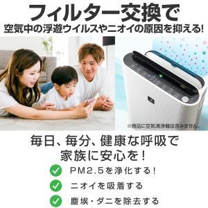 SHARP シャープ FZ-AG01K1 FZ...の詳細画像5