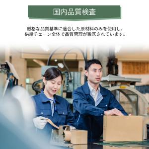 【人気完売!8月中旬予約受付中】irobot ...の詳細画像2