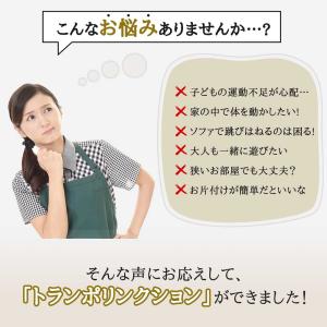 【5倍ポイント還元】UNE トランポリン クッ...の詳細画像1