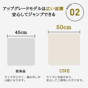 【5倍ポイント還元】UNE トランポリン クッ...の詳細画像5