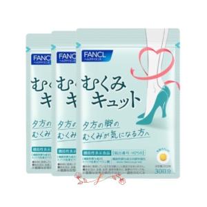 栃本天海堂 文火楽々〔漢方煎じ器〕（とろびらんらん） EK-SA10 1台