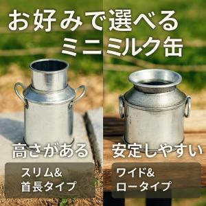 (1点)ミニチュア レトロ合金ミニミルク缶 2...の詳細画像3