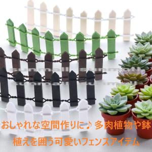 （1点）【選べる5色】プチフェンス インテリア＆ガーデニング 多肉植物 装飾 小物仕切り インテリア雑貨