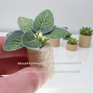 【1点販売】ミニチュア観葉植物 鉢付きフェイク...の詳細画像1