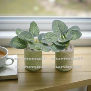 【1点販売】ミニチュア観葉植物 鉢付きフェイク...の詳細画像3